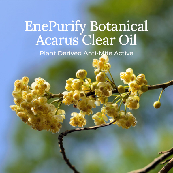 EnePurify® Botanical Acarus Clear Oil