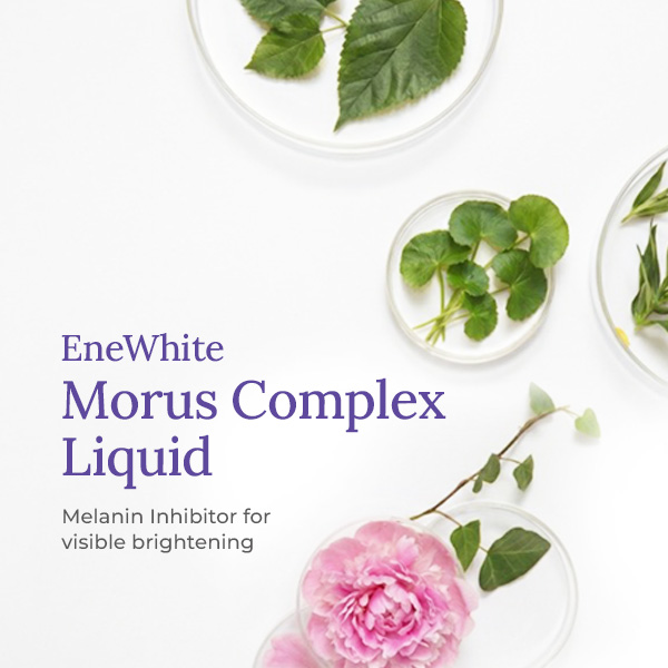 EneWhite® Morus Complex Liquid