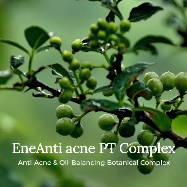 EneAnti-acne PT Complex