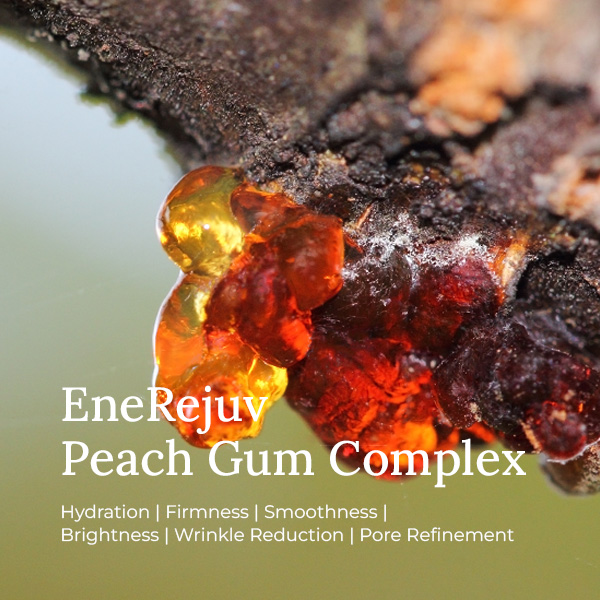 EneRejuv® Peach Gum Complex