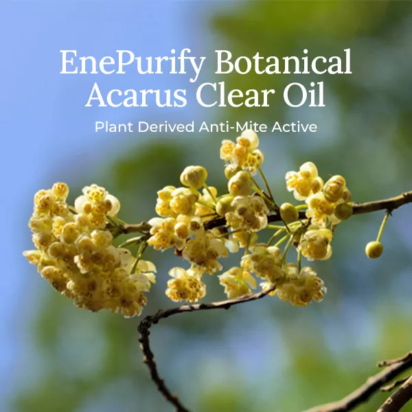 EnePurify® Botanical Acarus Clear Oil