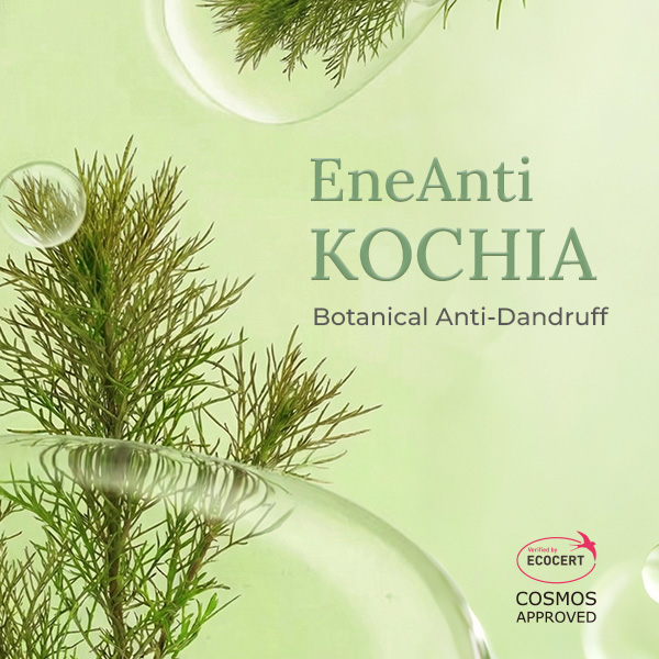 EneAnti KOCHIA
