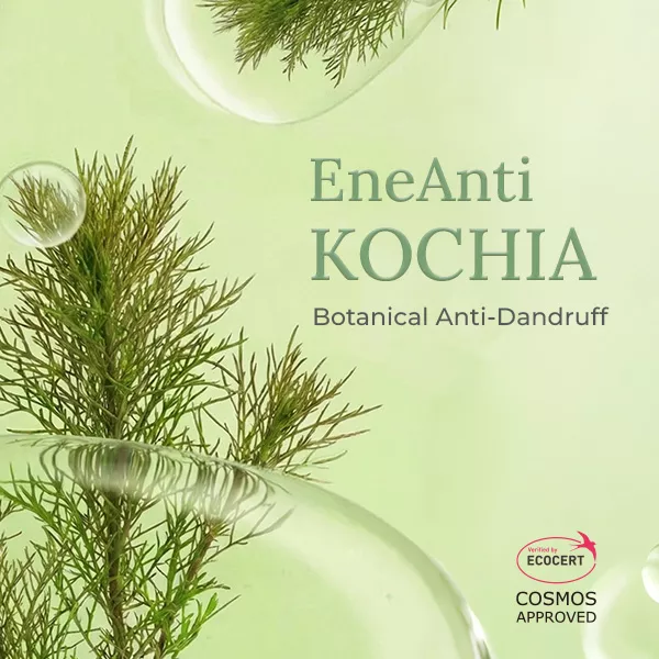 EneAnti KOCHIA