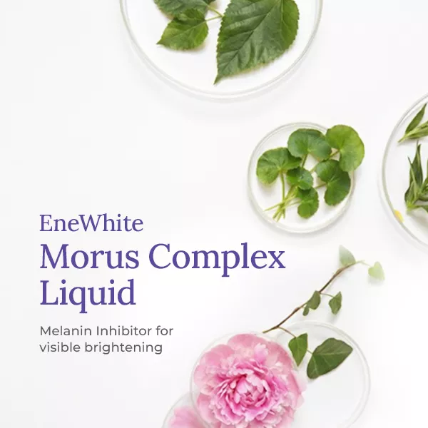 EneWhite® Morus Complex Liquid