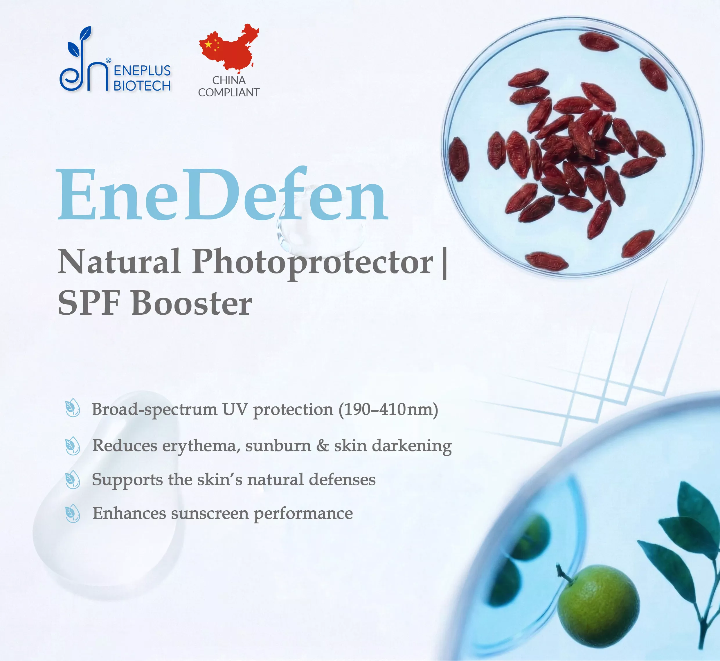 EneDefen