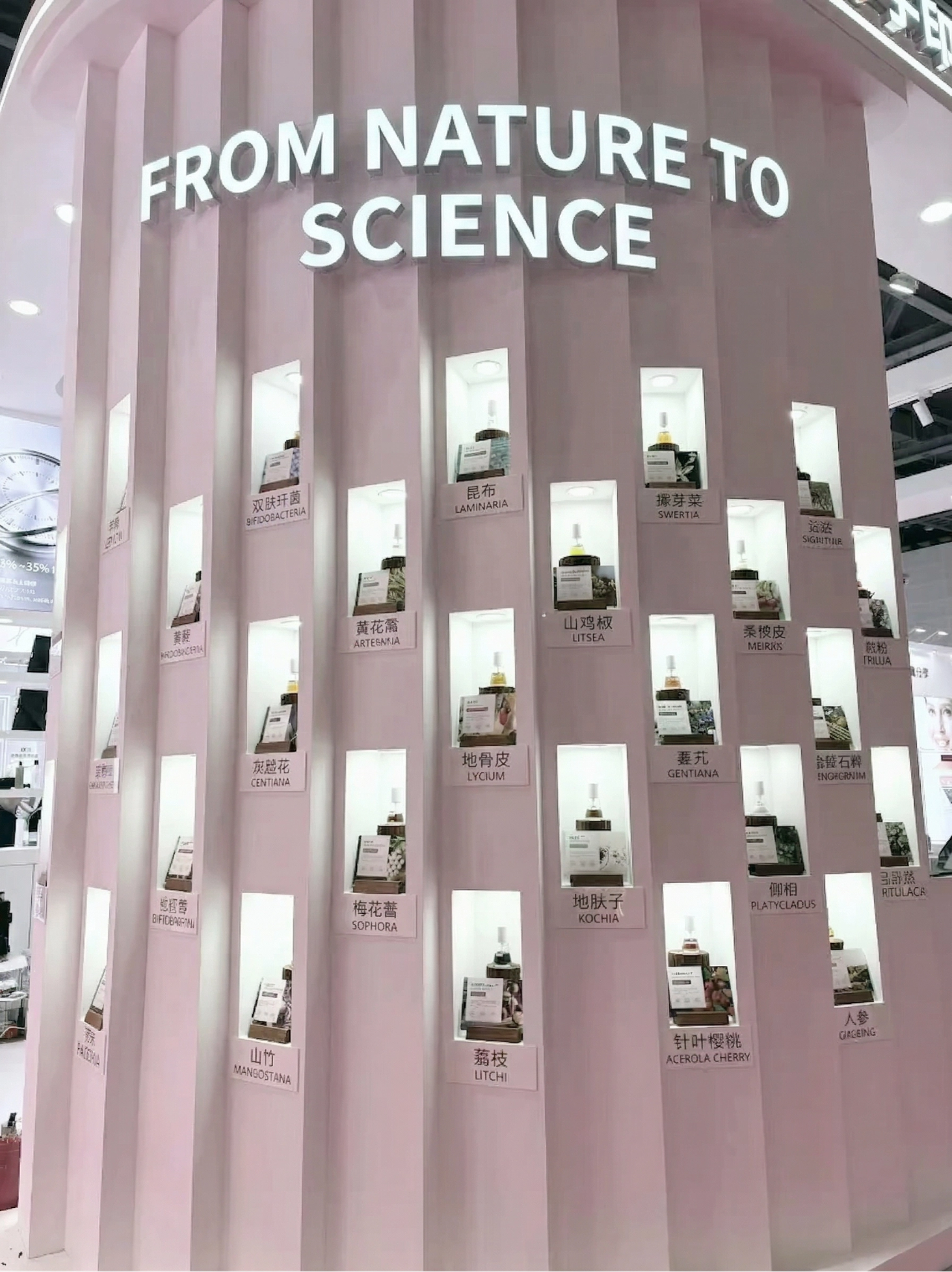 Presentation of our high-performance botanical ingredients